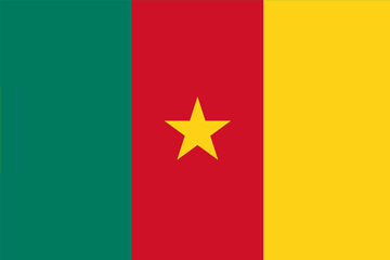 Drapeau Cameroun
